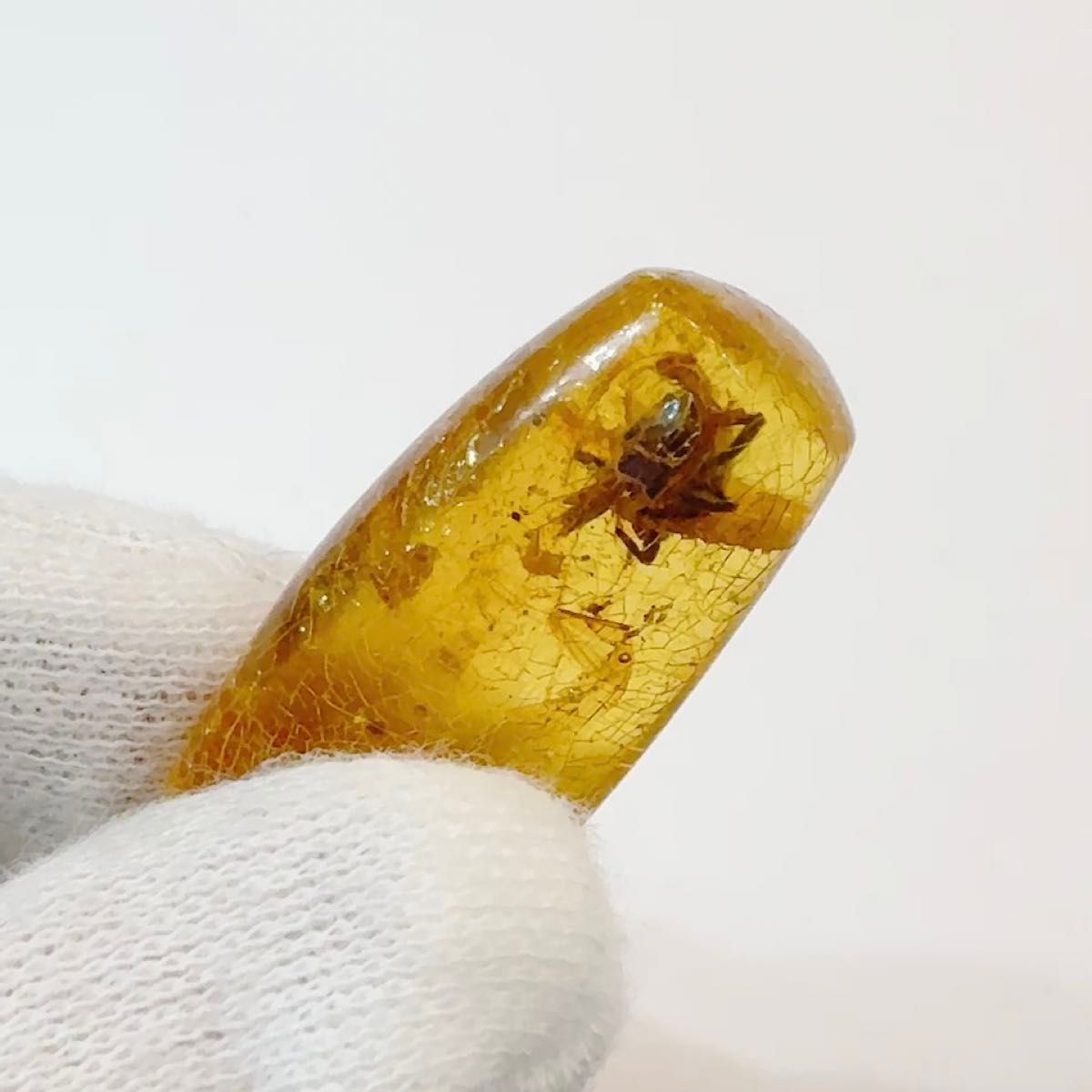 アンバー 琥珀 昆虫 コレクション 天然石 虫入り 価値上がる 宝石