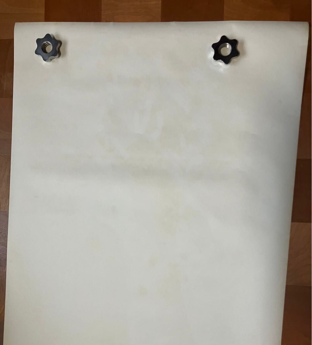 セリアキャロン 資生堂 サンフレア ポスター 等身大 この夏その気 水着