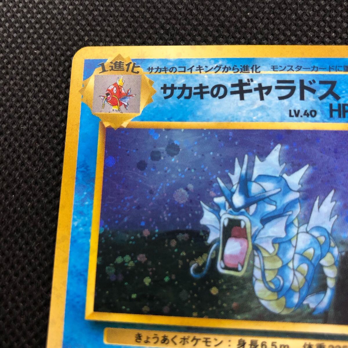 サカキのギャラドス ポケモンカード 旧裏 PSA10】サカキのギャラドス