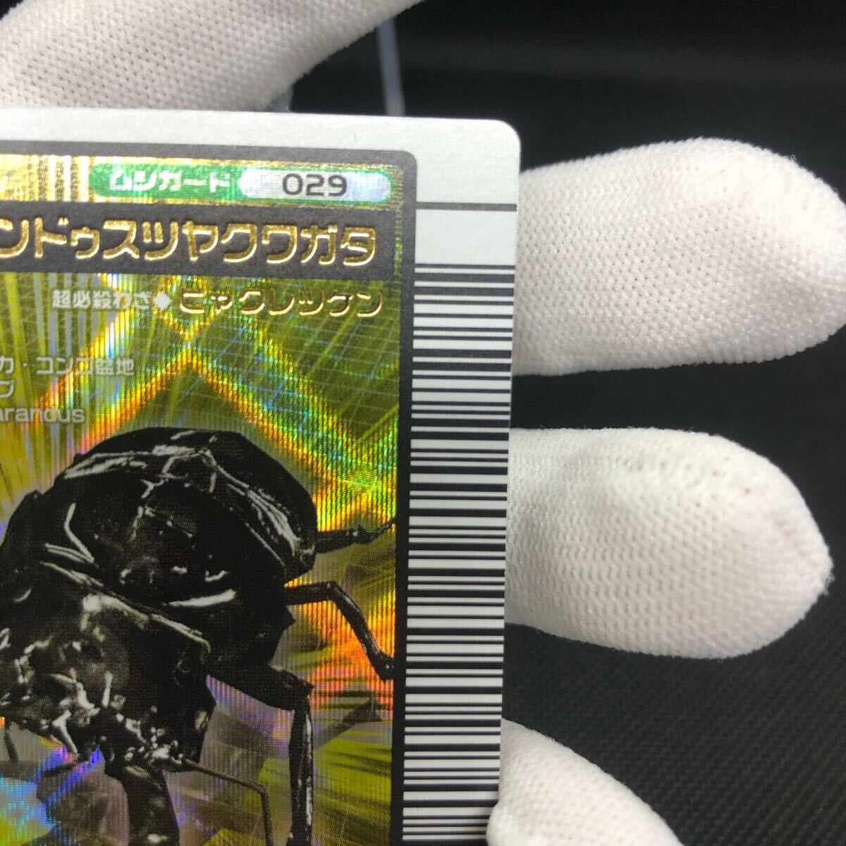 甲虫王者ムシキング2005ファーストタランドゥスツヤクワガタPSA10