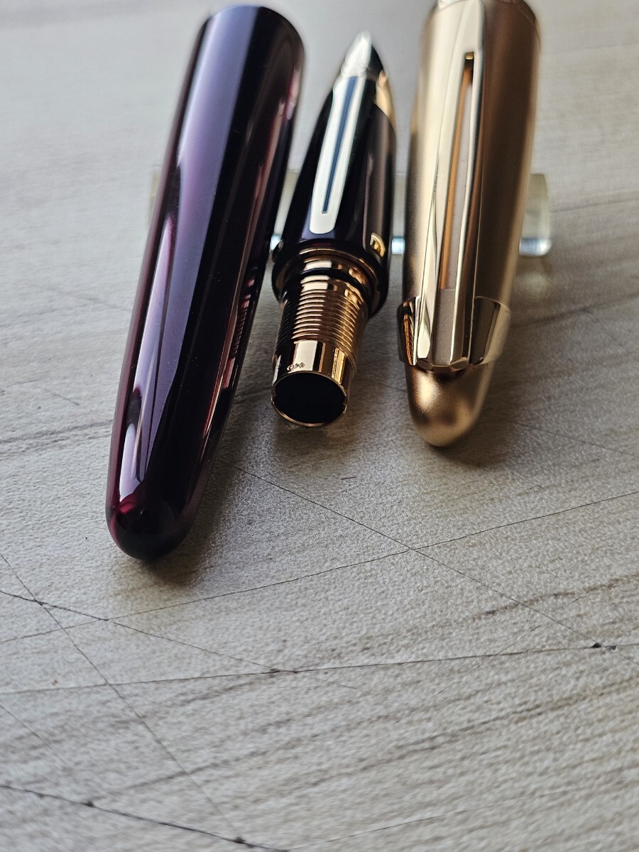 WATERMAN ウォーターマン 万年筆 エドソン ルビーレッド M