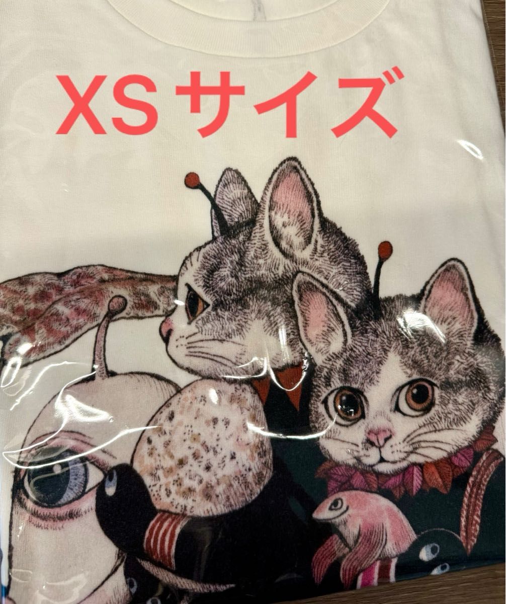 韓国限定 ヒグチユウコSECRET FOREST デスクマット ヒグチユウコ