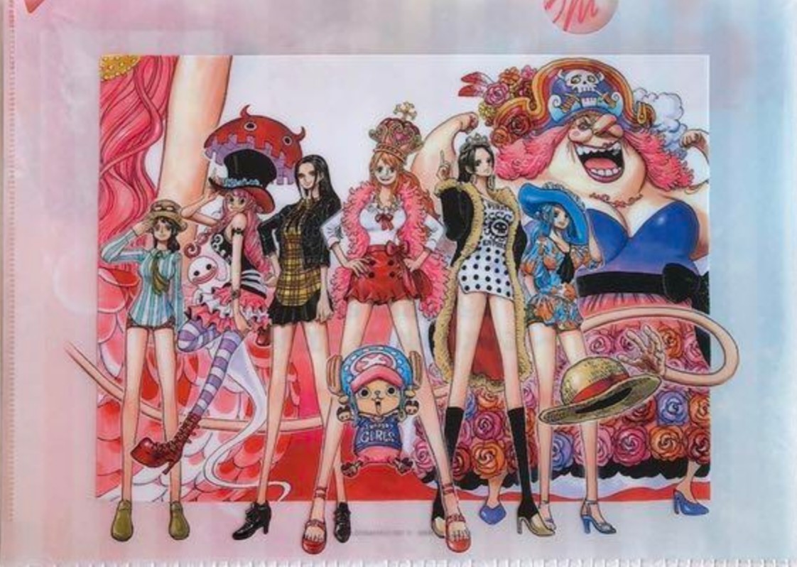 20th成人式限定】ワンピース クリアファイル 未開封 【公式通販】