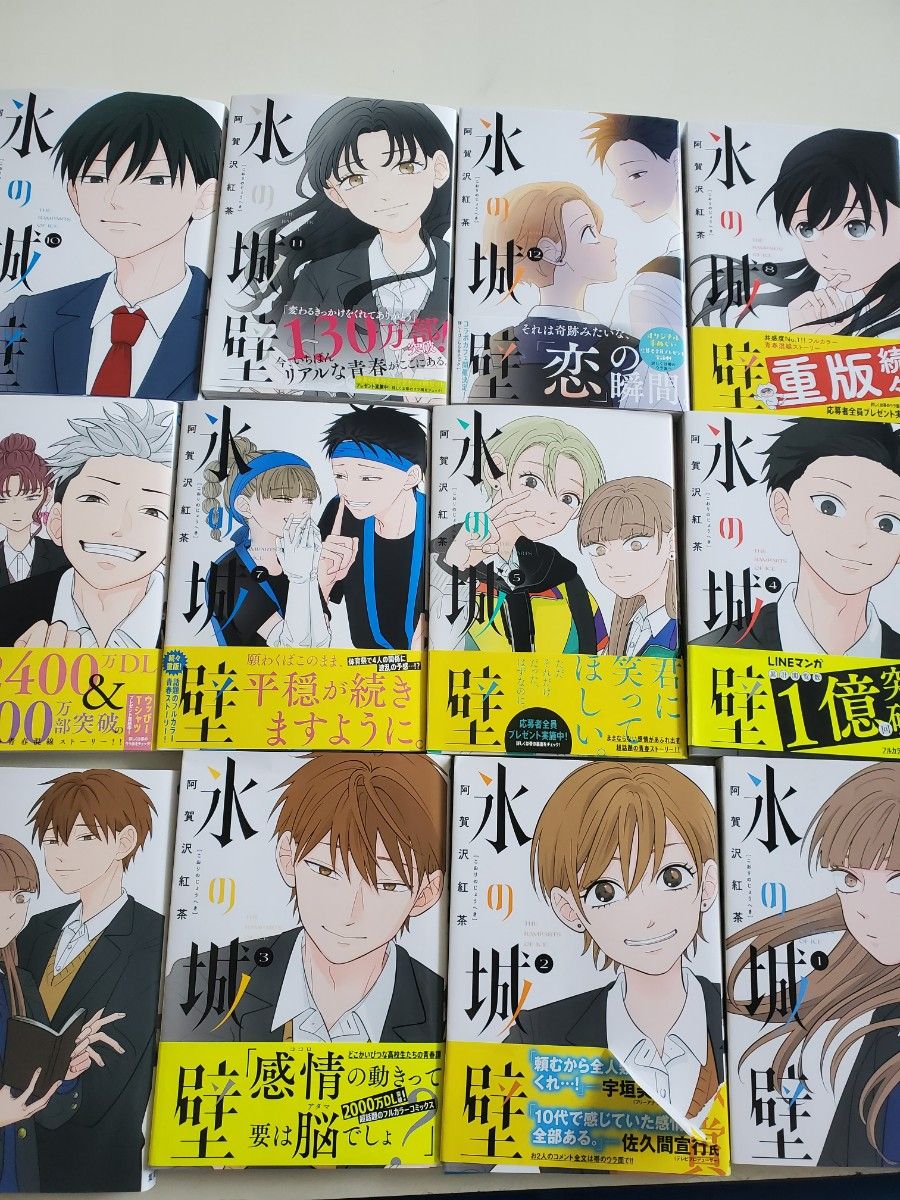 氷の城壁 1〜12巻までのセット 【公式通販】
