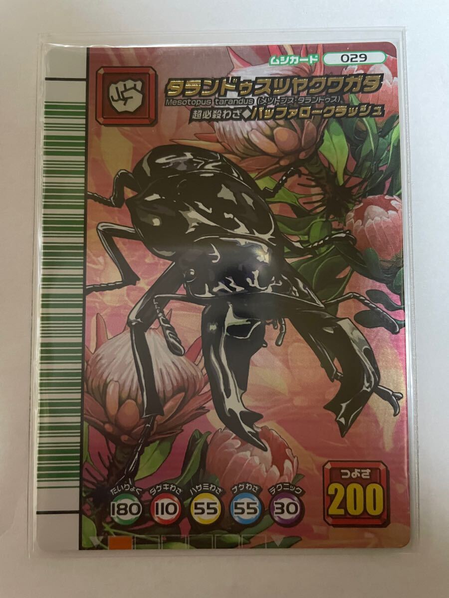 ムシキング タランドゥスツヤクワガタ [アーケード] 甲虫王者