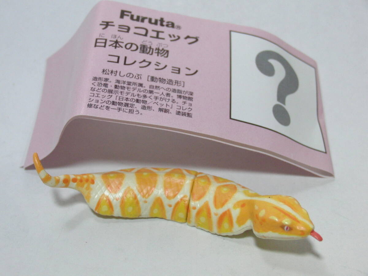 海洋堂・Furuta】 チョコエッグ ツチノコ(シークレット) 4種セット