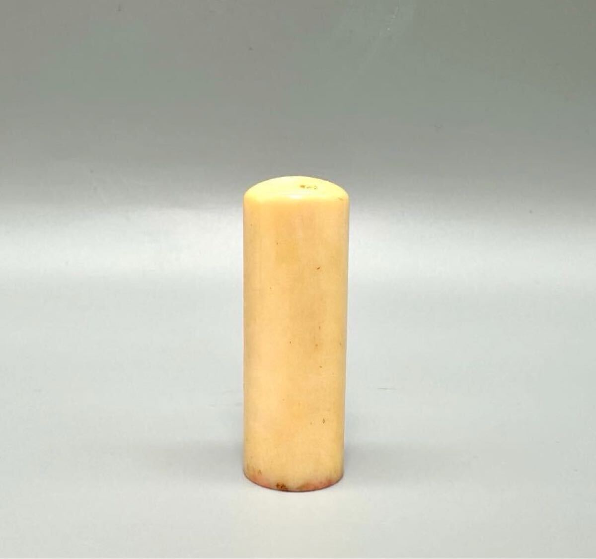 マッコウクジラの歯 根付け 印材 マッコウクジラ 抹香鯨 鯨歯印材 重量