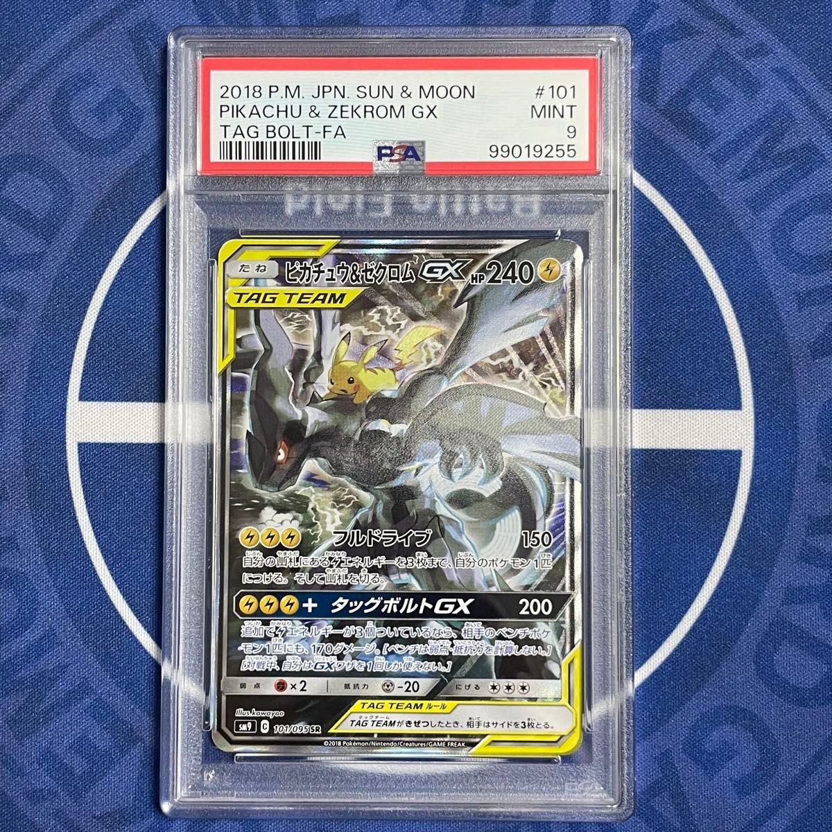 ピカチュウ&ゼクロムGX sa タッグチーム 101/095 タッグボルト