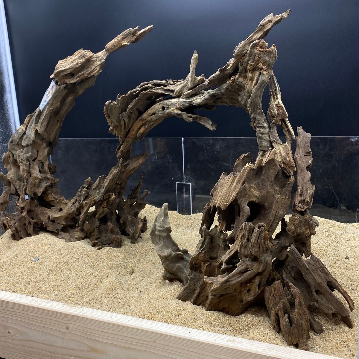 MSRW-6372 天然流木レイアウトセット スリムウッド アクアリウム MRW