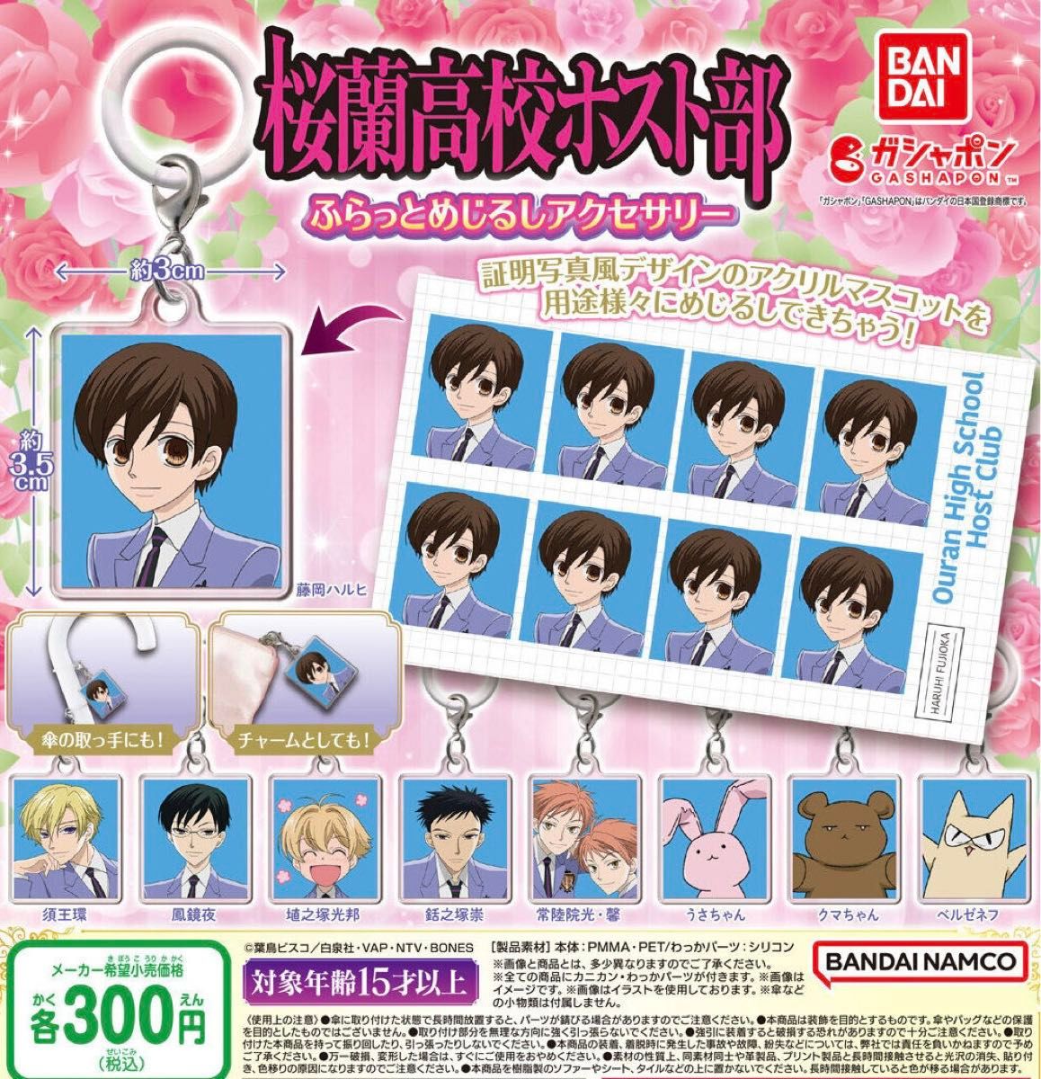 アニメ 桜蘭高校ホスト部 ふらっとめじるしアクセサリー 全9種セット