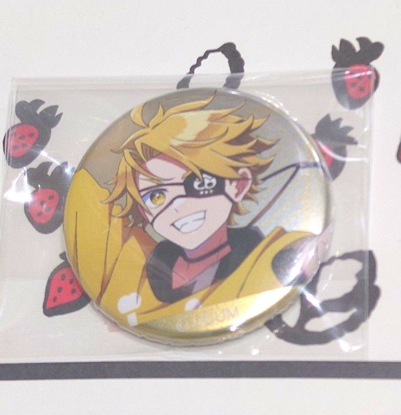 からぴち たっつん 缶バッジ 2点セット たっつん 缶バッジ カラフル