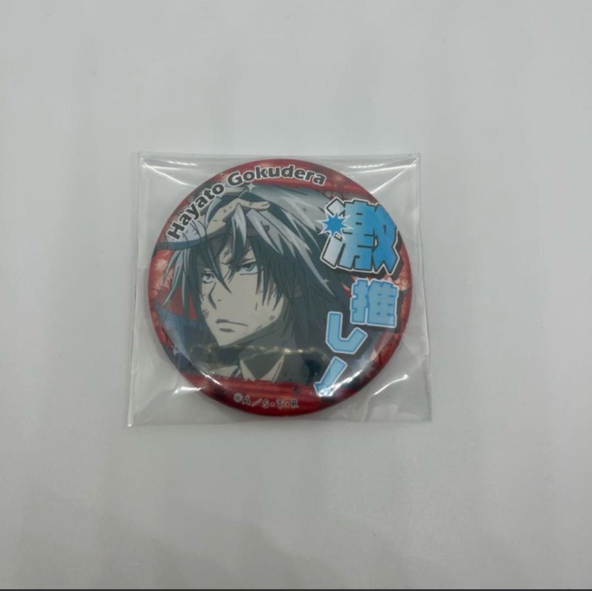 REBORN 獄寺 缶バッジ アトレ REBORN 獄寺隼人 缶バッジ アトレ秋葉原