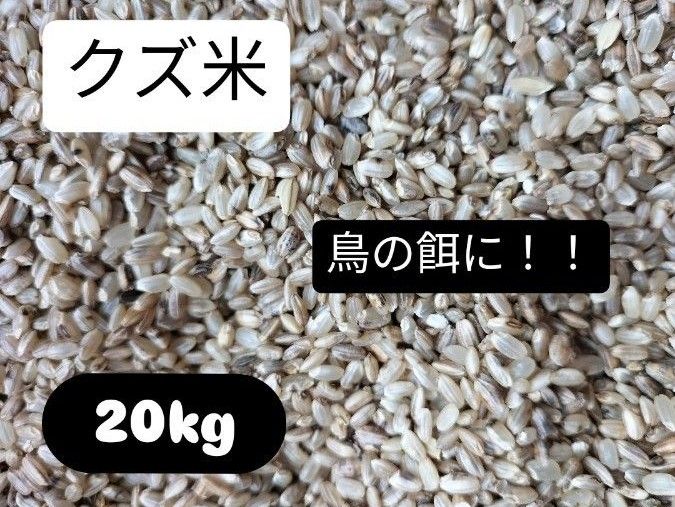 砕米 24kg 【飼料用】※説明欄必読 砕米 24kg 【飼料用】※説明欄必読