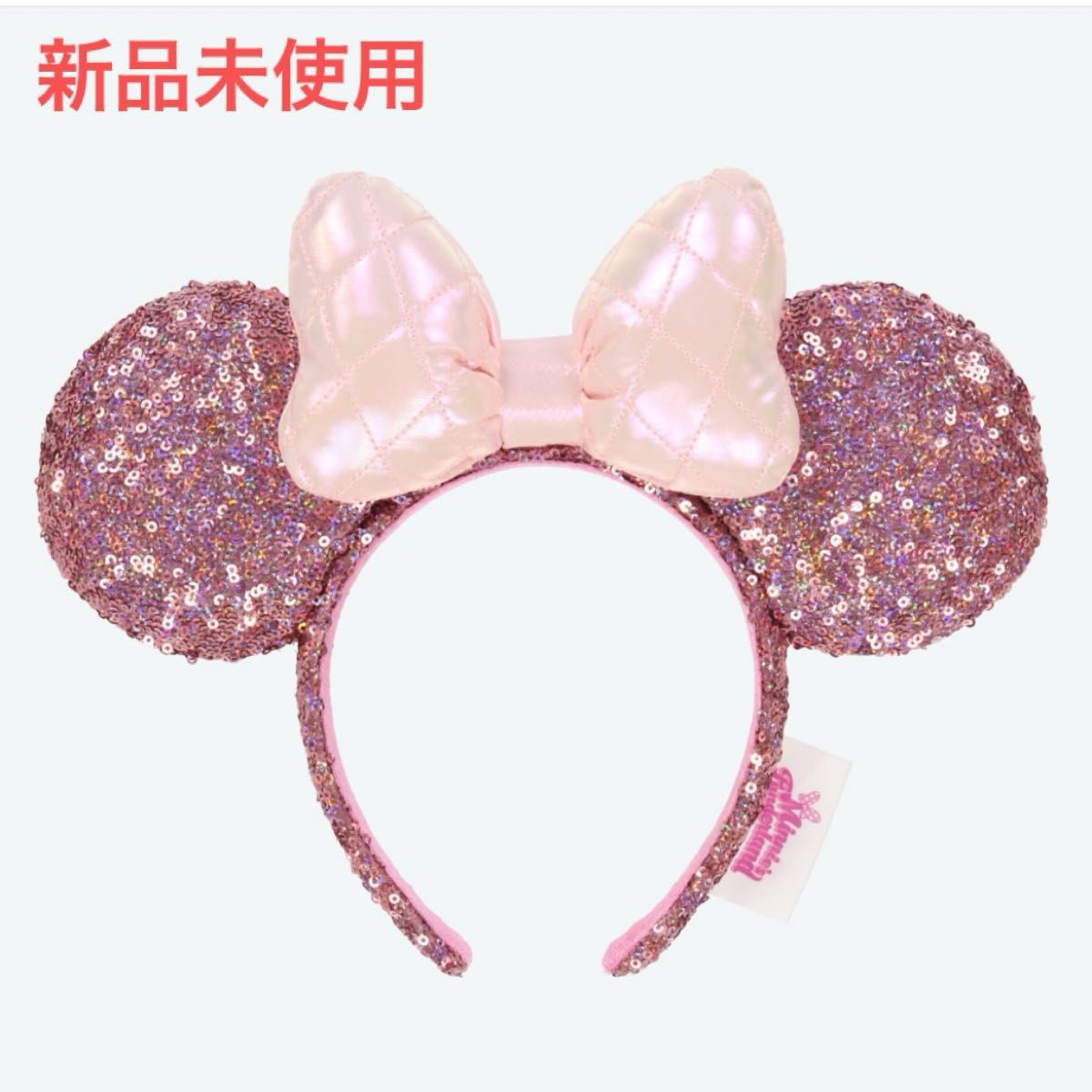 未使用】ディズニー パルパルーザ ミニーのファンダーランド