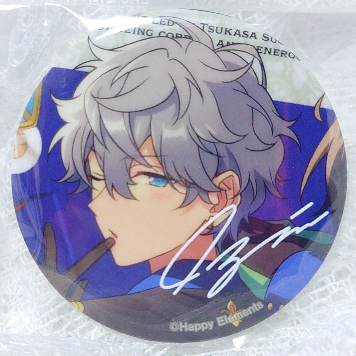 あんスタ TRIP 缶バッジ アルバム缶バッジ 瀬名泉 瀬名泉Knights あん