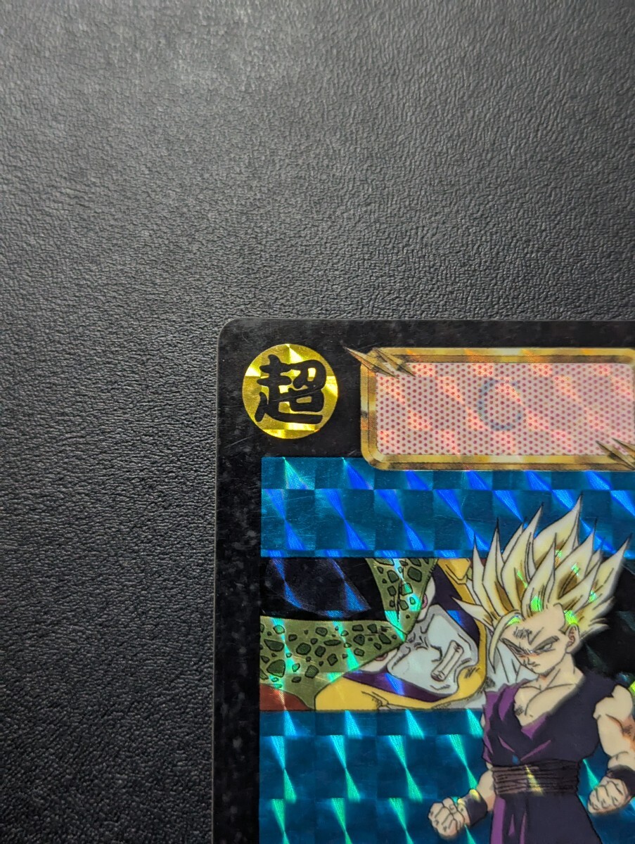 ドラゴンボール カードダス 「めちゃんこプロジェクト」 No.9 孫悟飯