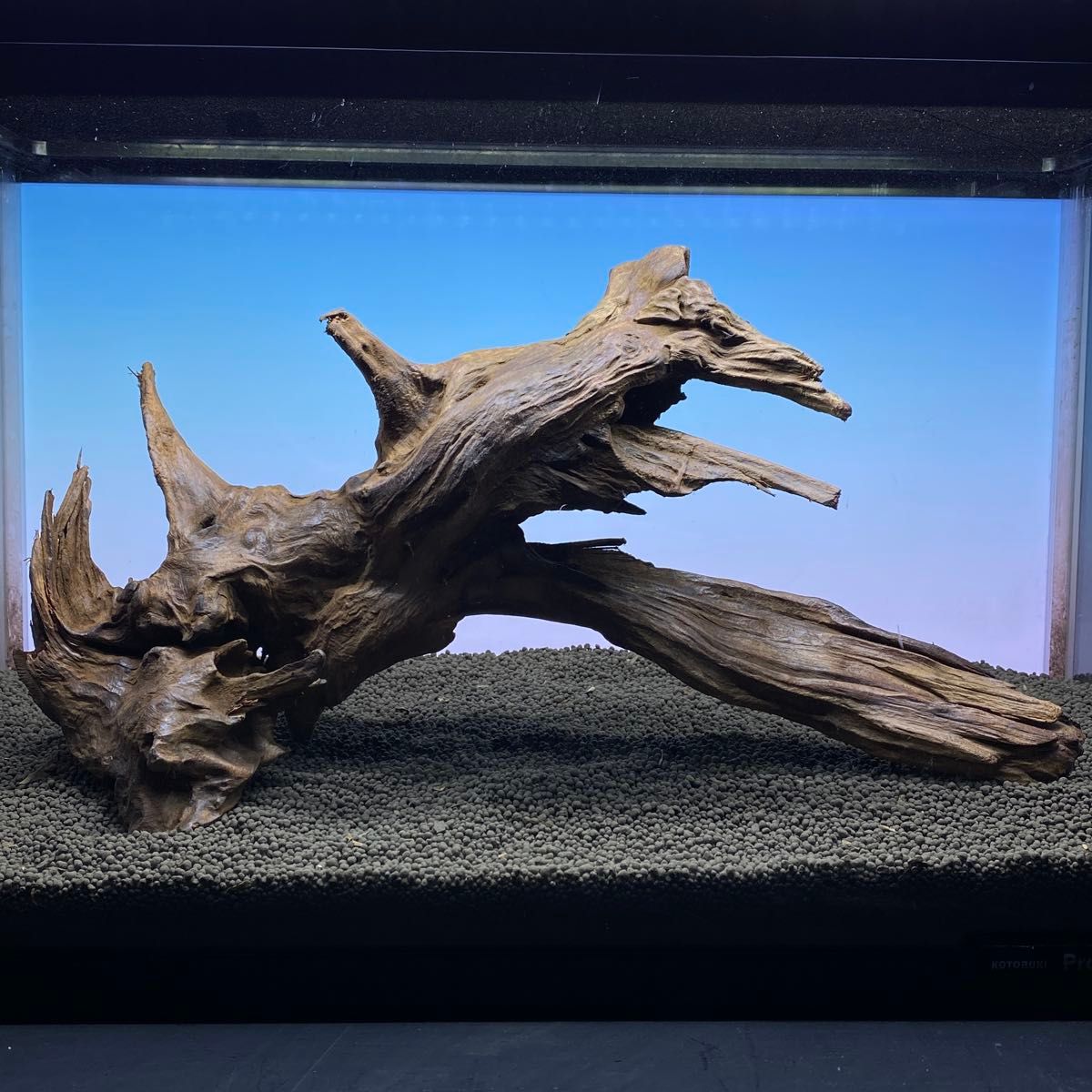 MRW-5849赤系天然流木 自立流木 1点物 流木 アクアリウム｜Yahoo