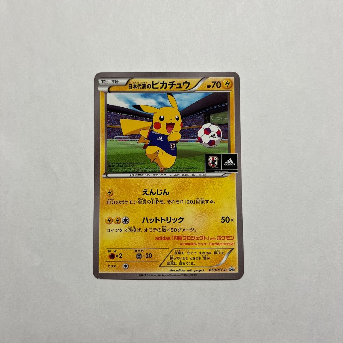 ピ*い様 日本代表のピカチュウ：ポケモンNewモン! Book付録 PROMO ピ