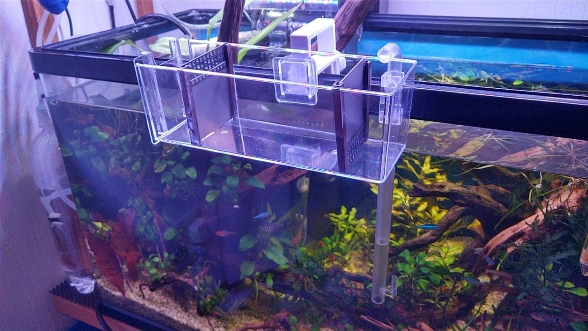 おまけつき♪】アクアポニックスシステム 水耕栽培 隔離ケース 濾過