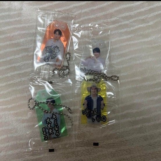 新品未使用 Snow Man すのチル ぶら下がりシリーズ ぬいぐるみver 9人