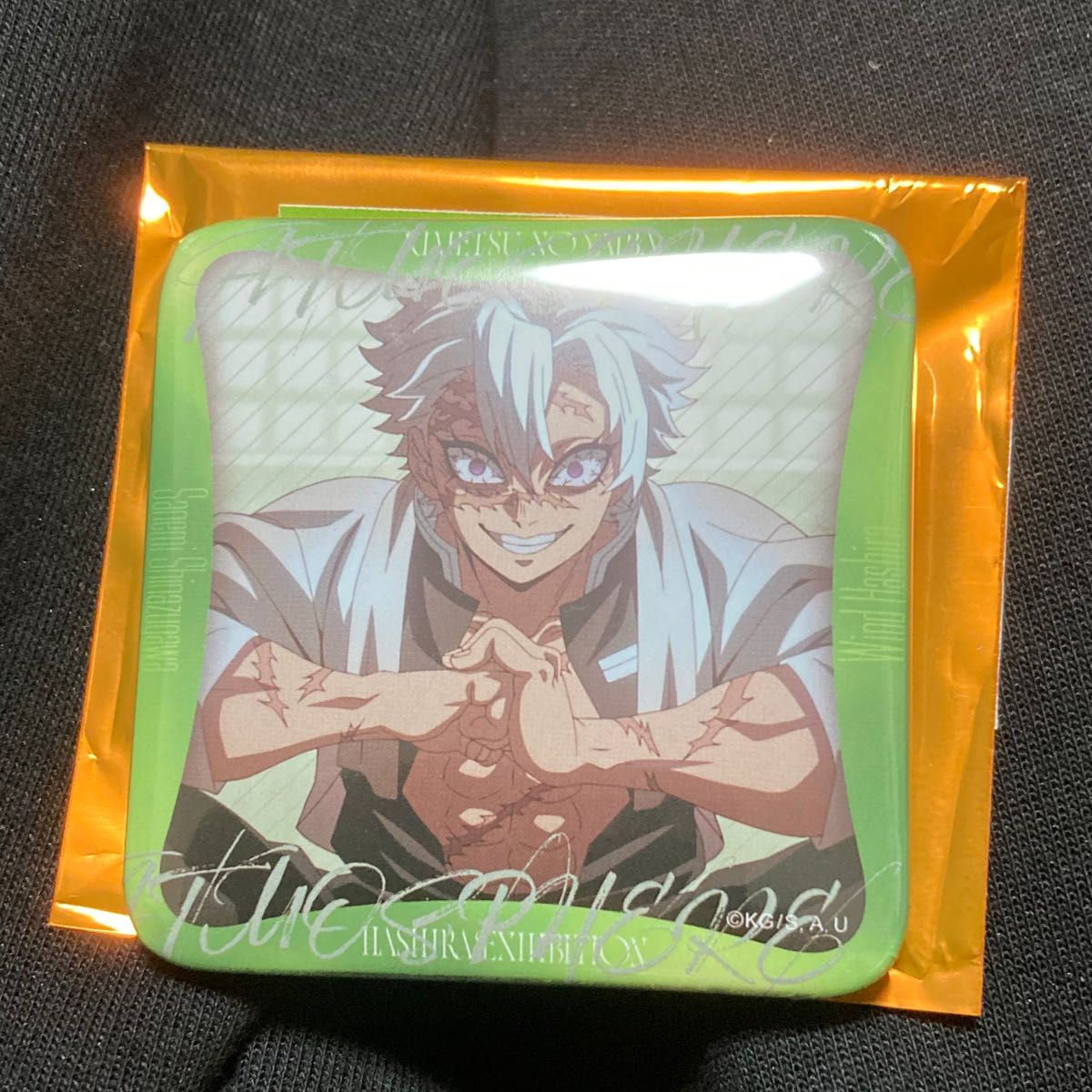 鬼滅の刃 柱展柱百景 マニアック缶バッジ 不死川実弥｜Yahoo!フリマ