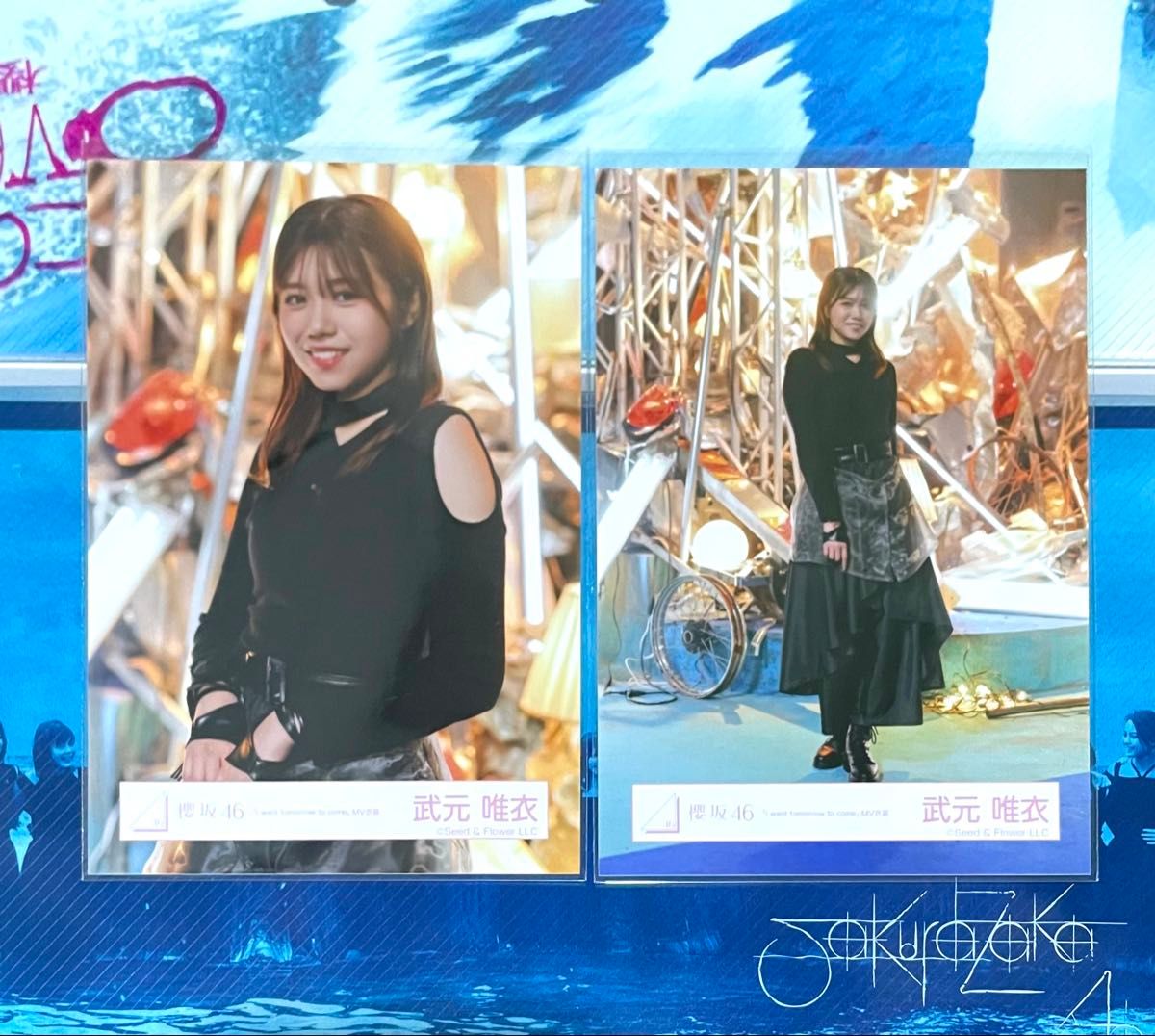 櫻坂46 生写真 直筆サイン入り 東京ドーム CD予約特典 武元唯