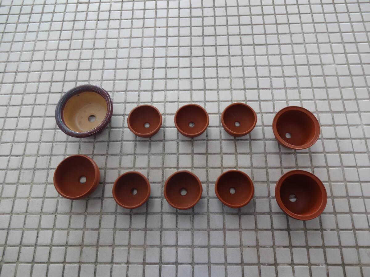 お値下げ☆盆栽鉢 ミニ盆栽鉢 祐峰 常滑焼 お値下げ☆盆栽鉢 ミニ盆栽