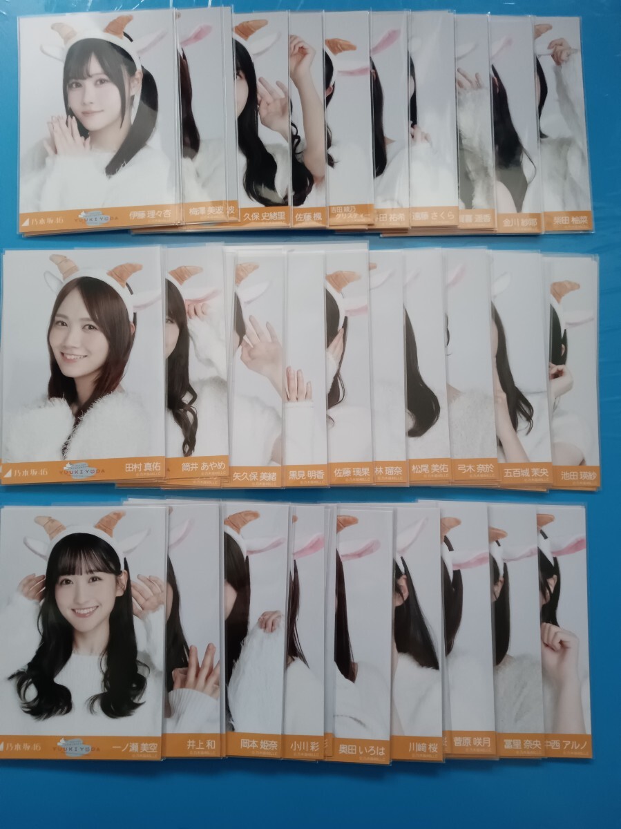 乃木坂46 生写真 与田祐希卒コンT ごんぞうカチューシャ 与田祐希