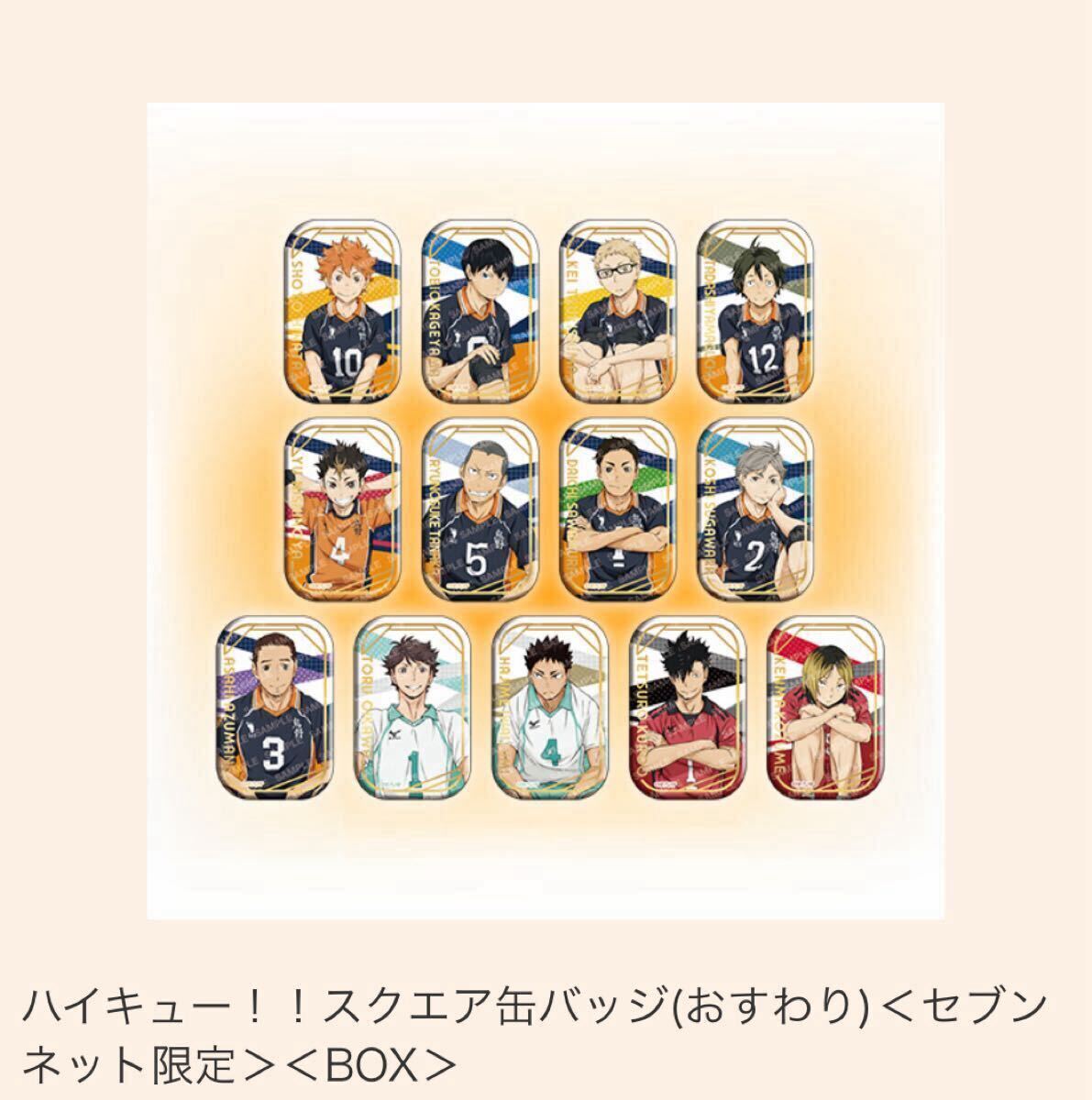 ハイキュー！！スクエア缶バッジ【セット】(おすわり)＜セブンネット