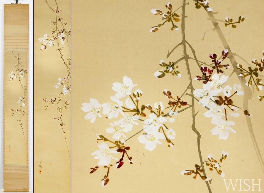 朧月夜桜図】今井景樹 2702 おぼろ月 さくら 共箱 肉筆 掛け軸 朧月夜