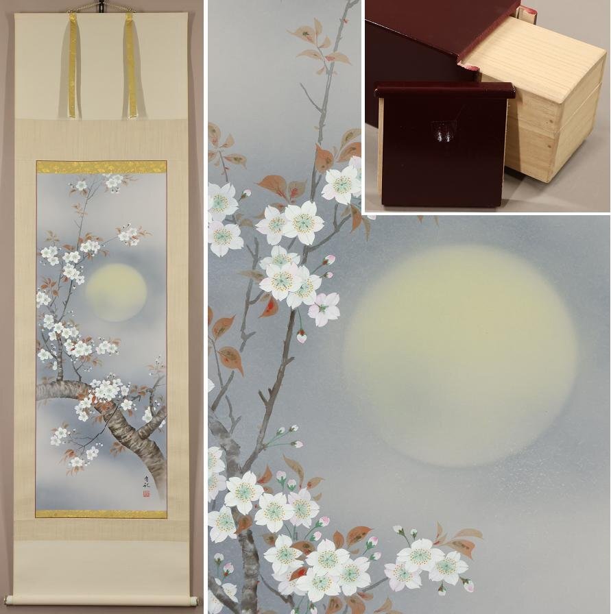 八重桜 掛け軸 掛軸 共箱あり 二重箱 31 八重桜 掛け軸 掛軸 共箱あり