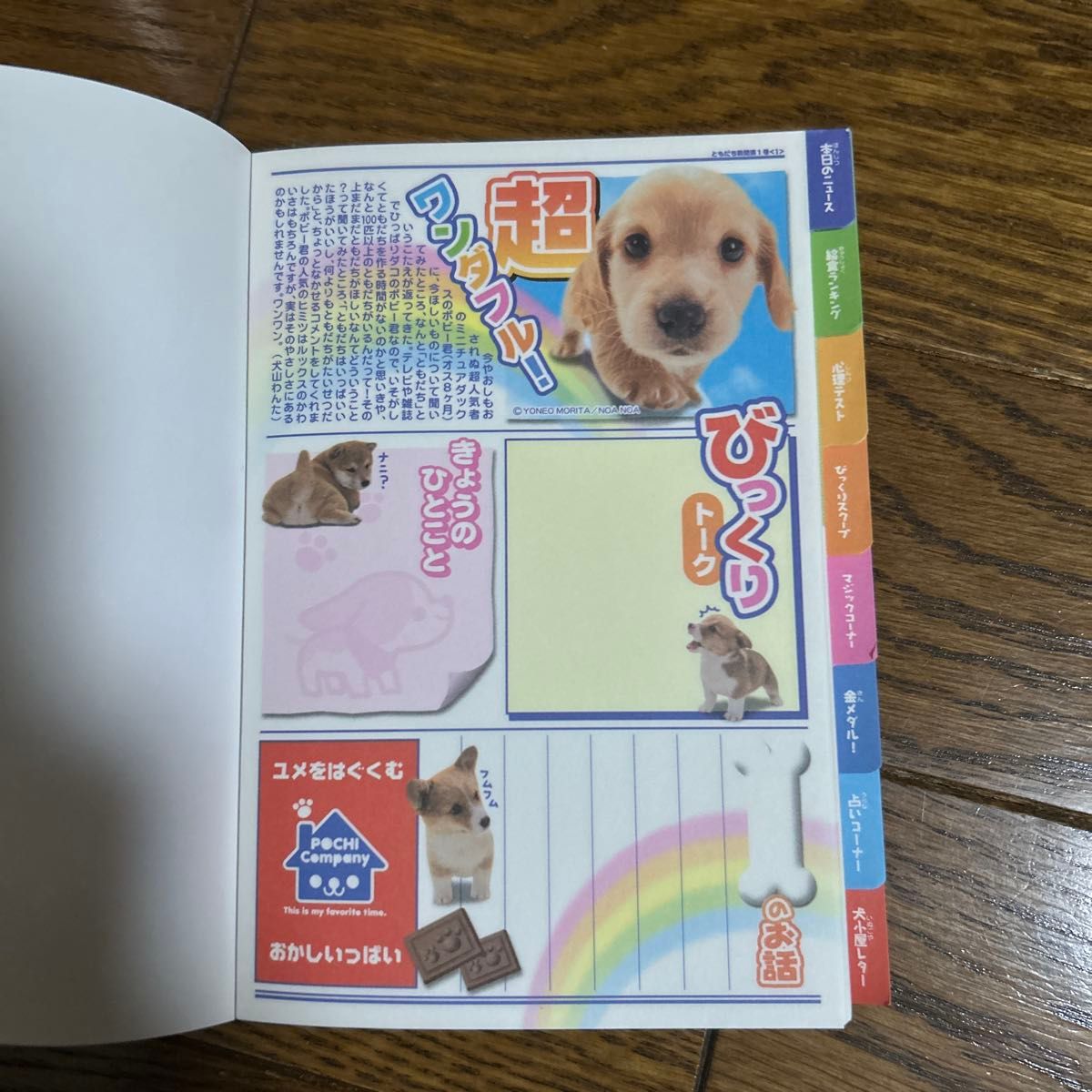 平成レトロ メモ帳 犬 ホップスキップメモ 記者 ワンダフル新聞社 平成