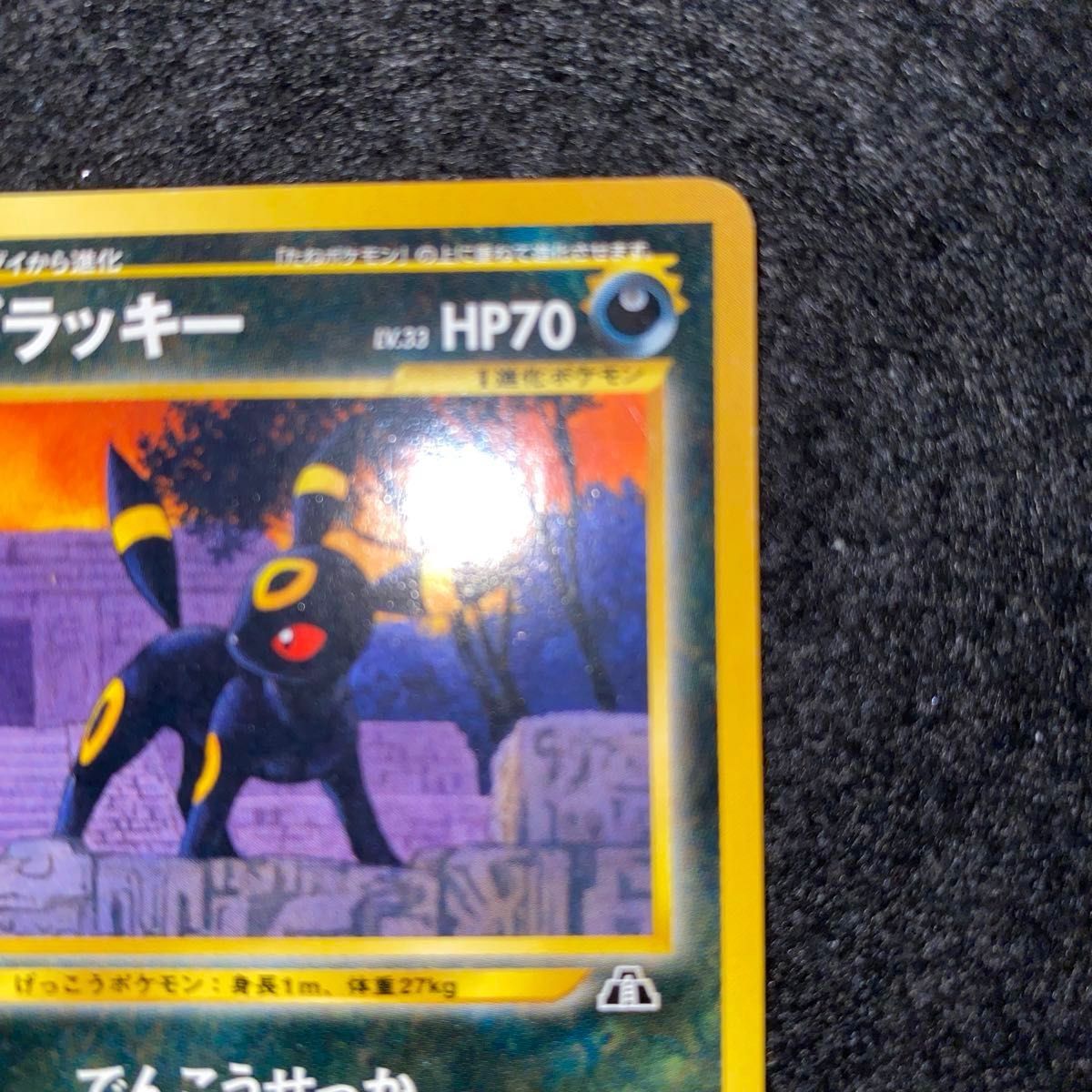 ブラッキー 旧裏 no.197 ☆ PSA10 旧裏 ブラッキー No.197の通販 土日