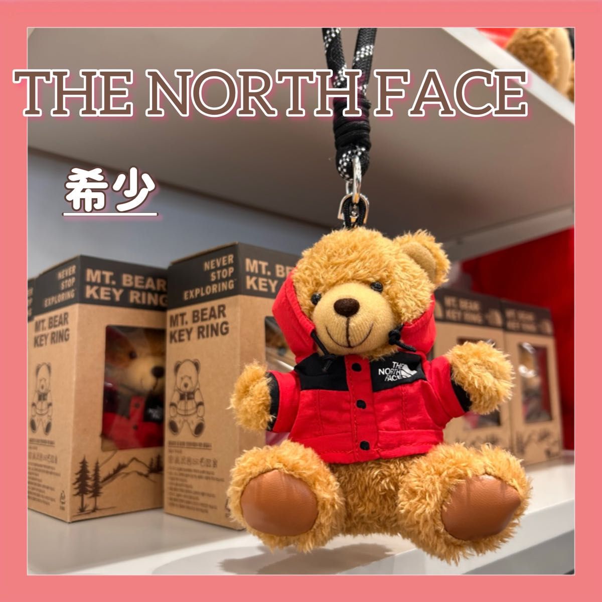 韓国限定】ノースフェイス ヌプシベアー キーリング バルトロ 韓国