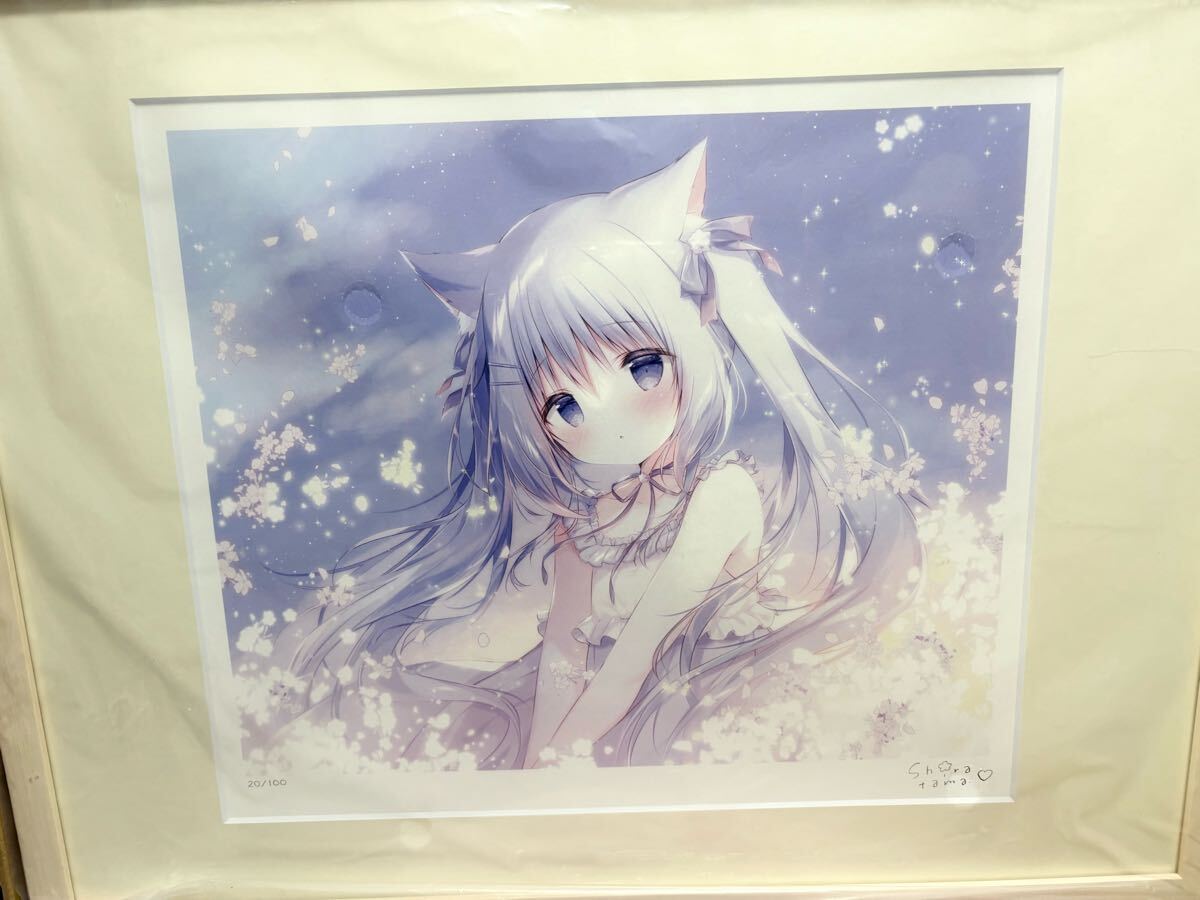 しらたま 直筆サイン入り アートグラフ たまこてん2 つらら しらたまこ