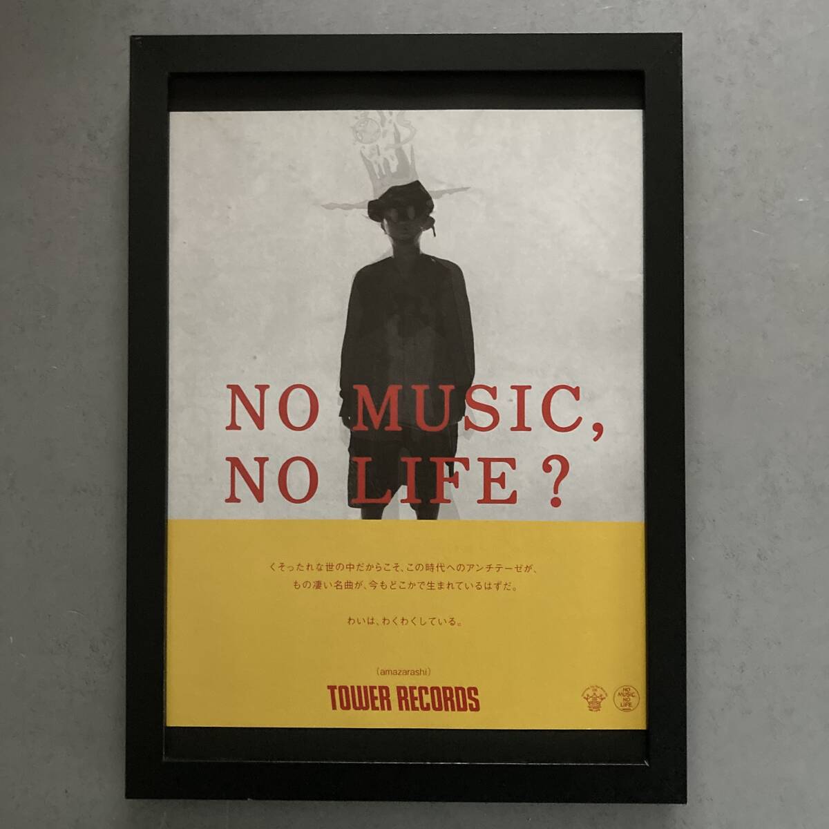 額装品 amazarashi アマザラシ タワレコ A4サイズ額入り NO MUSIC NO