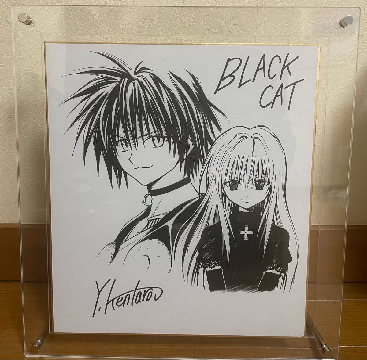 漫画 BLACK CAT サイン