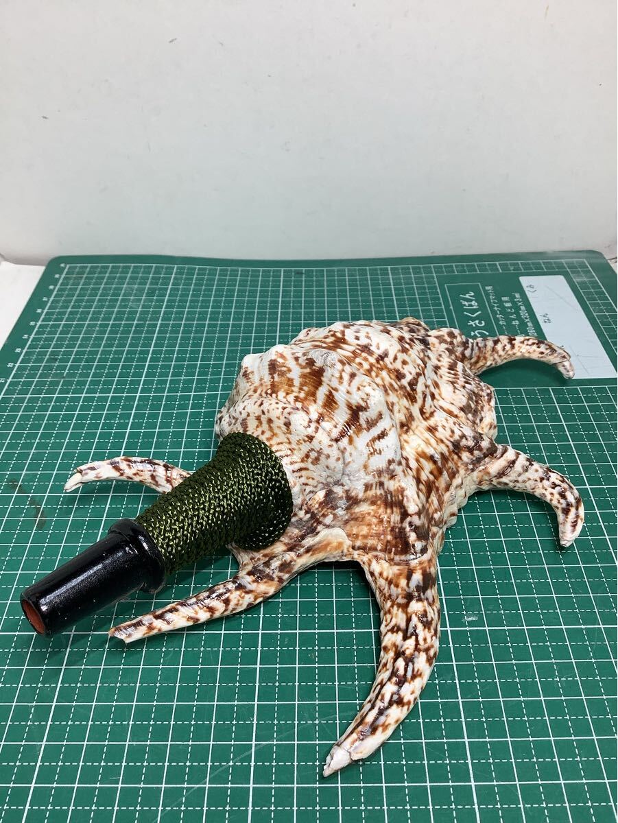 ヤフメリ19・法螺貝・山伏・修験者・金峯山・羽黒山・戦国武将・縁起物