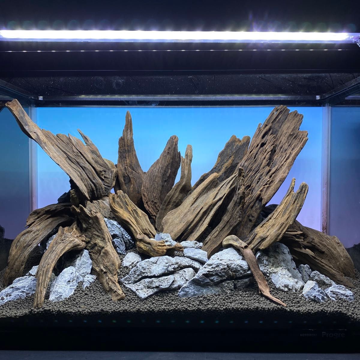 MRW-6121 赤系天然流木 レイアウトセット 流木 アクアリウム｜Yahoo