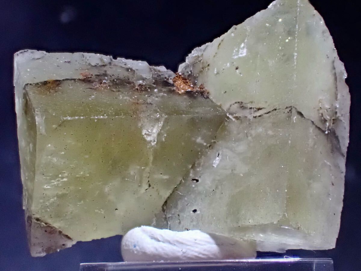 Honey Bear Pocket フローライト 【公式通販】