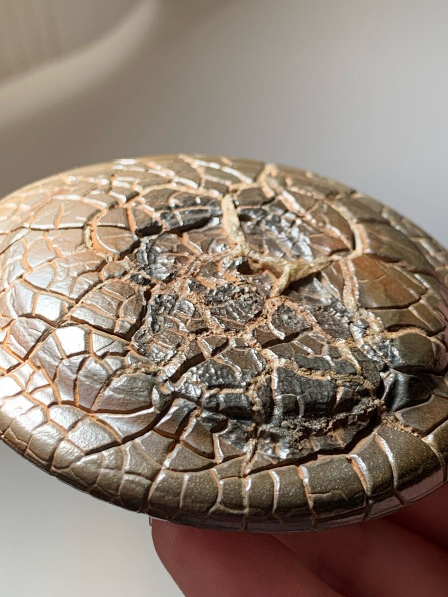 奇石！ゴビアゲート 蒙古瑪瑙 水石 天眼 天珠 オパール 化石 翡翠 隕石