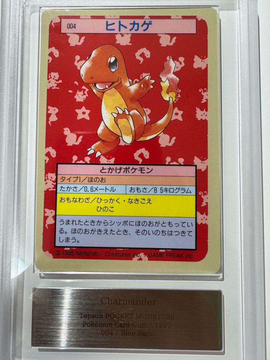 トップサン ポケモンカード 青裏 エラーカード シードラ トップサン