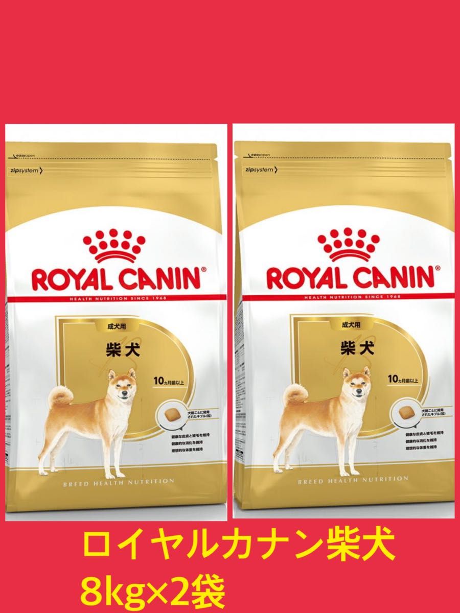 ロイヤルカナン柴犬成犬用8kg×2袋 【公式通販】