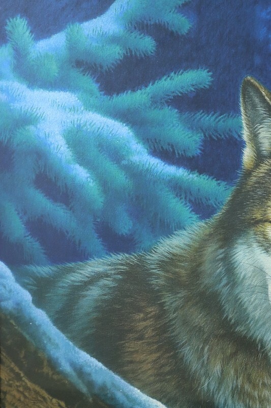 2025年最新Yahoo!オークション -ジョウ ナイトウの中古品・新品・未