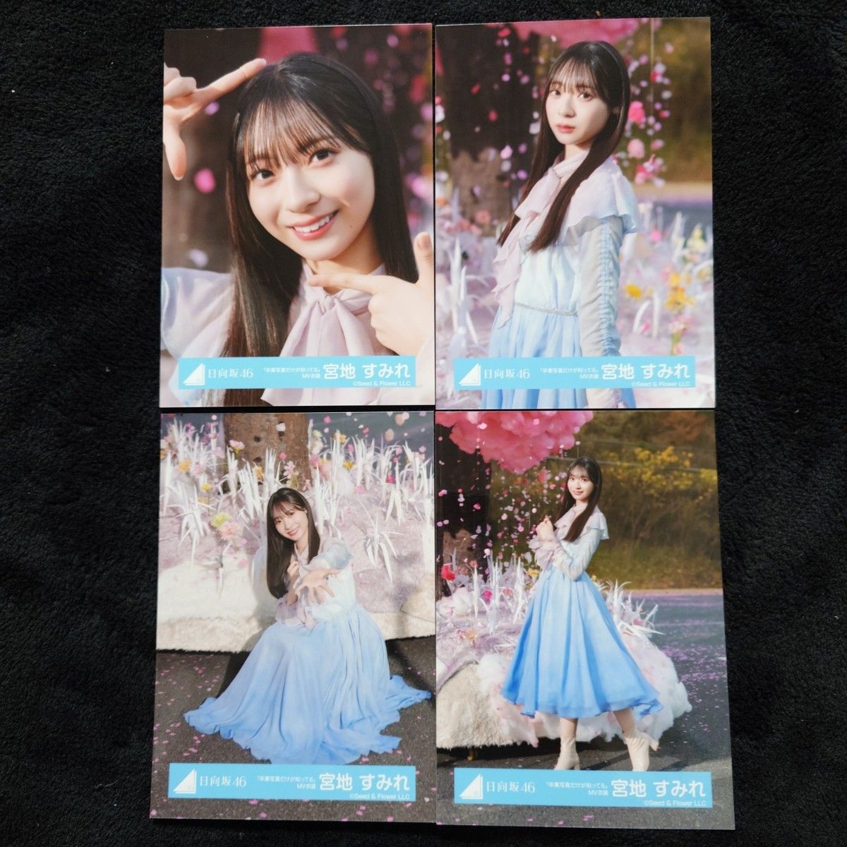 日向坂46 卒業写真だけが知ってる 宮地すみれ 直筆サイン 生写真