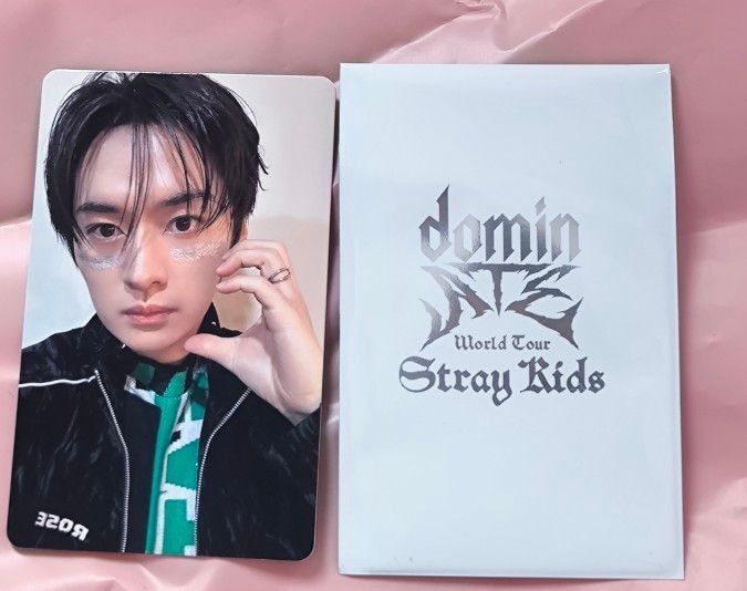 straykids maniac 直筆 サイン ポラロイド リノ straykids unveil tour