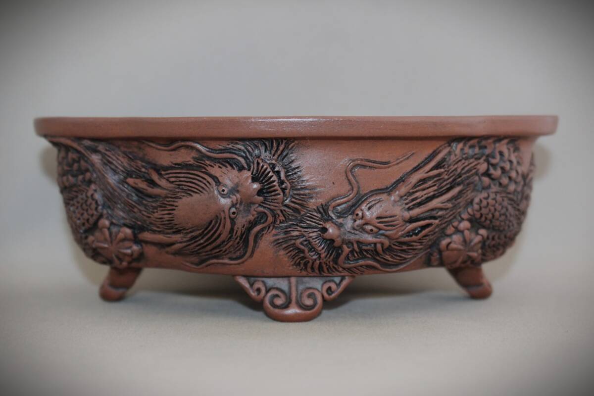 盆栽鉢 作家鉢 龍 浮彫 入手困難 盆栽鉢 作家鉢 龍 浮彫 入手困難