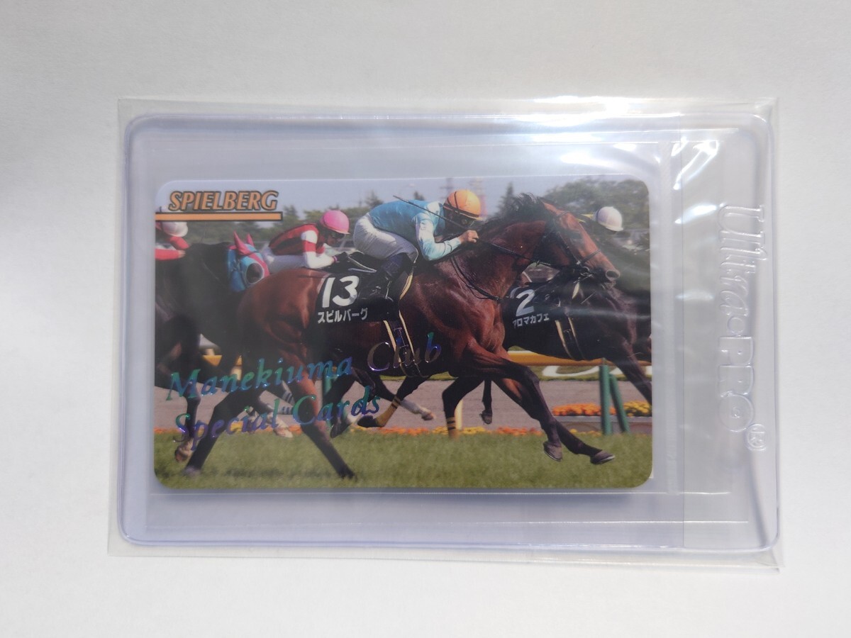 ステイゴールド(No.J-146)まねき馬倶楽部レインボーカード15枚限定