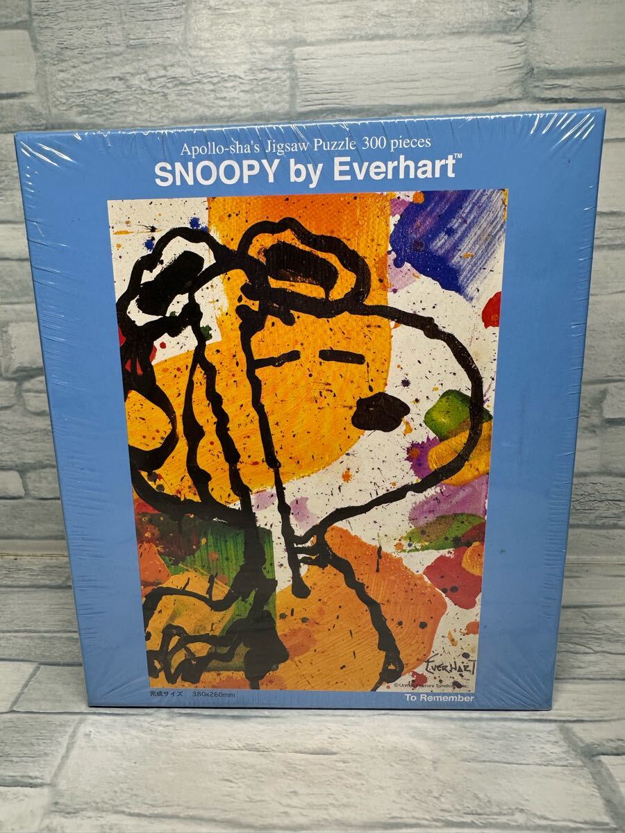 超貴重品！スヌーピートム・エバハートパズルイッツザハットアポロ社