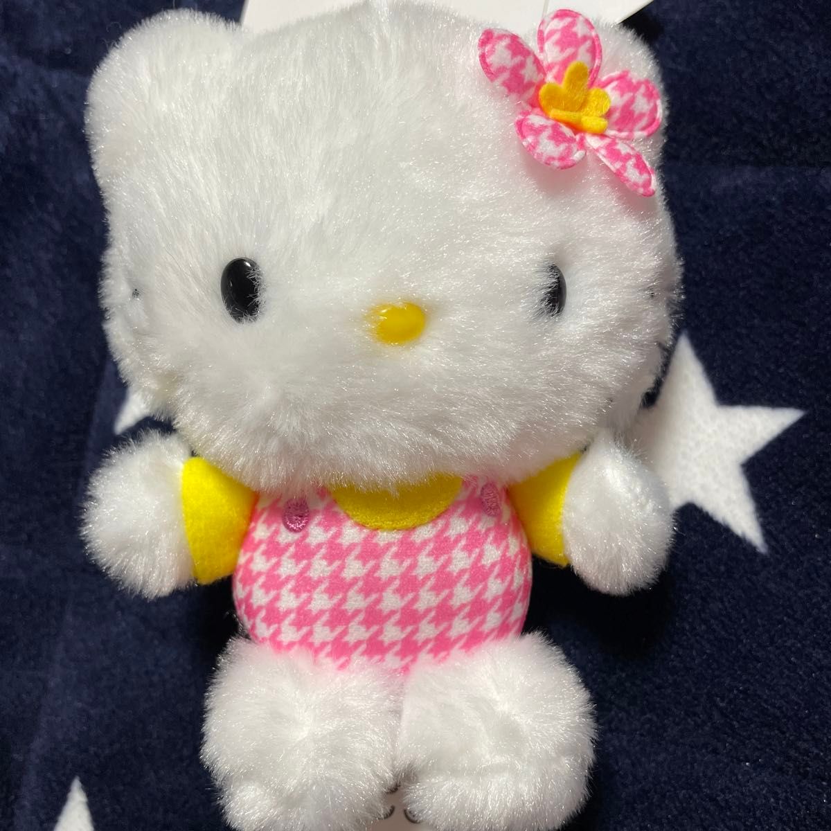 日*4様 レア 動物園 ハローキティ ライオン マスコット キーホルダー